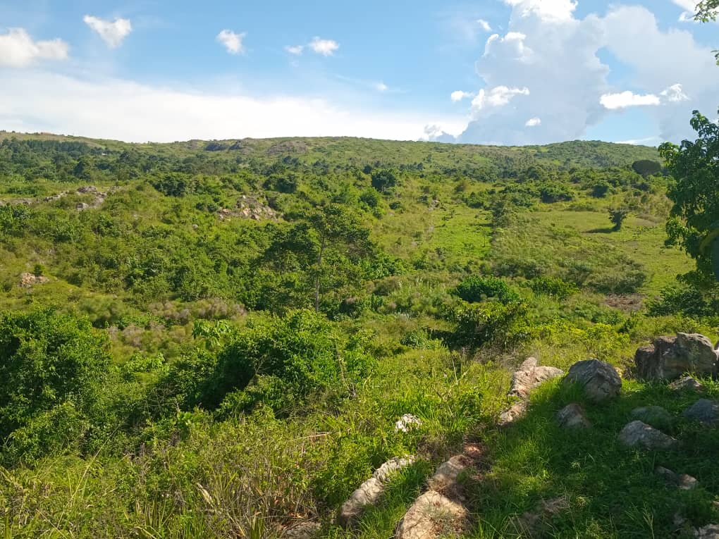 About Mubeeya Tourism